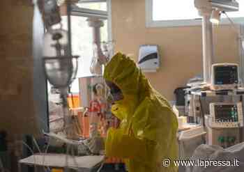 Covid a Modena: 2970 contagi, un morto e 18 ricoveri - La Pressa