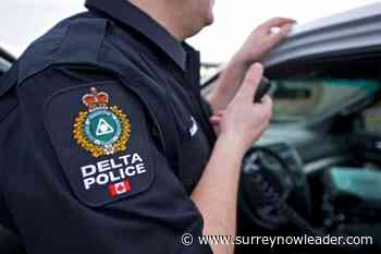 Police searching for witnesses, video after indecent act in North Delta – Surrey Now-Leader - Surrey Now Leader