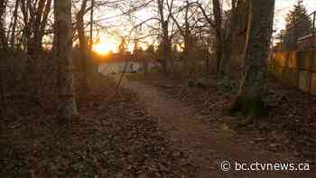 'Indecent act' reported near secondary school in Delta | CTV News - CTV News Vancouver