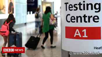 Covid test firm urges end to tests for travellers
