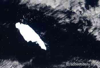 Massive Iceberg Released Over 150 Billion Tons of Fresh Water Into Ocean As It Scraped Past South Georgia