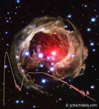 A Stellar Merger’s Astrophysical Evolution in the “Blink of an Eye”