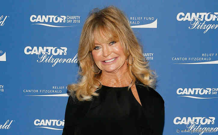 Goldie Hawn Explains Why She Doesn't Get Involved in Politics