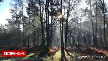 England's Big Picture: 17 January - 23 January 2022