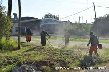 Desmalezado y fumigación en los barrios El Tala y Vélez Sarsfield | CHACO DÍA POR DÍA - Chaco Dia Por Dia