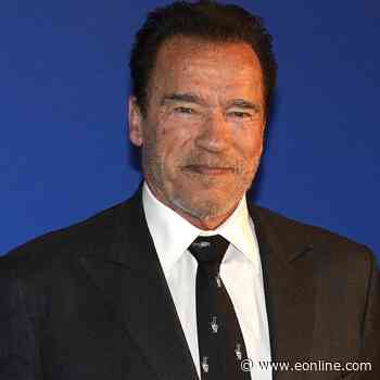 Arnold Schwarzenegger Involved in Multi-Car Accident