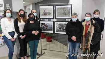 Caussade. Isabelle Cros, une photographe à l’affût - ladepeche.fr