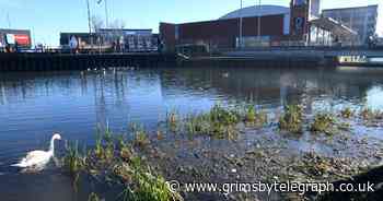 River Freshney dredging project to be extended to benefit wildlife - Grimsby Live