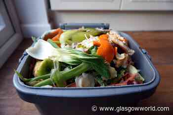 Glasgow food waste bins not collected for two years - GlasgowWorld