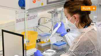 Augsburger Labore sind Corona jeden Tag auf der Spur