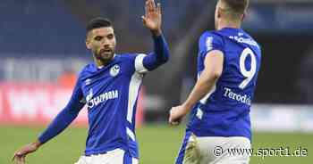 2. Bundesliga live: Erzgebirge Aue - FC Schalke 04 im TV, Stream auf SPORT1 - SPORT1