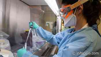 Coronavirus: 47.567 casos y 31 fallecidos en provincia de Buenos Aires - Infocielo