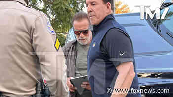 Arnold Schwarzenegger involved in car accident