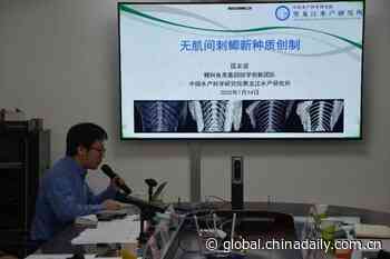 Researchers develop boneless carp variety - Chinadaily.com.cn - Chinadaily USA