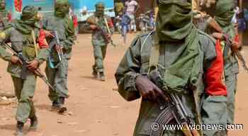 Terrorists Kidnap 20 children in Nigeria's Borno state - WION