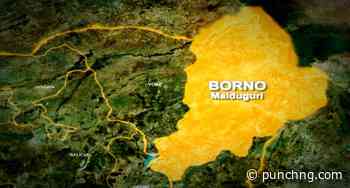 ISWAP fighters attack Biu in southern Borno - Punch Newspapers