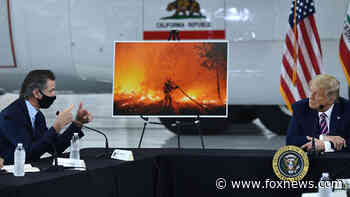 Gavin Newsom less warm toward Trump on wildfire aid during VP Harris visit