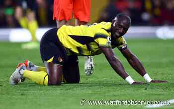 Moussa Sissoko apologises to Watford supporters