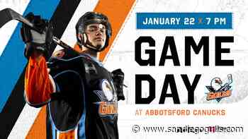 PREVIEW: Gulls Head North Of The Border For Weekend Battle In Abbotsford - sandiegogulls.com
