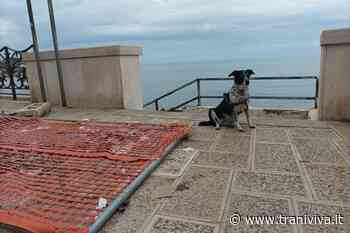 Il lungomare d'inverno: trasandato e sciatto tra transenne divelte e spazzatura - TraniViva