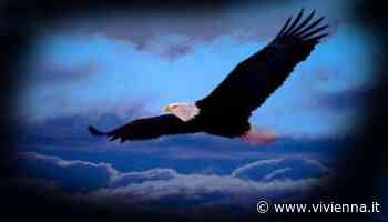 Enna. Dove osano le “aquile” del Med.Mez. - Vivi Enna