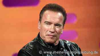 Schwarzenegger in Autounfall in Los Angeles verwickelt