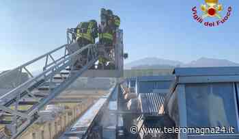 BERTINORO: Fiamme nel capannone domate da 4 squadre di vigili del fuoco | FOTO - Teleromagna24