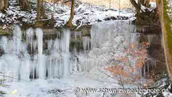 Leser-Fotos - Erinnerungen an eisige Tage - Schwarzwälder Bote