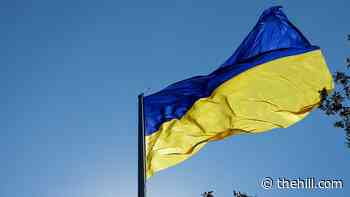 Part of US military support package arrives in Ukraine