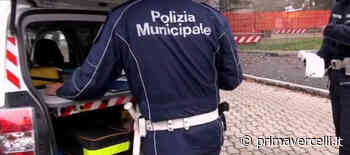 Bilancio 2021 Polizia Locale Vercelli: colpite quasi 16.000 infrazioni stradali e intensa attività - Prima Vercelli