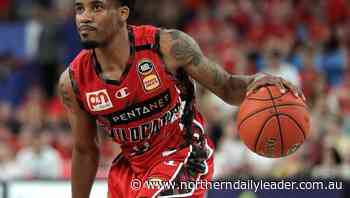 Wildcats surge in NBL win over Hawks - The Northern Daily Leader
