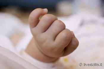 Catania, continua la lotta della neonata contagiata - Livesicilia.it