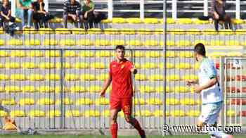 NOTIZIA TC - Catania, occhi in Serie B: piace Ierardi del Vicenza - Tutto Lega Pro