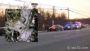 Truck with 100 monkeys crashes in PA; 1 still on the loose: Police