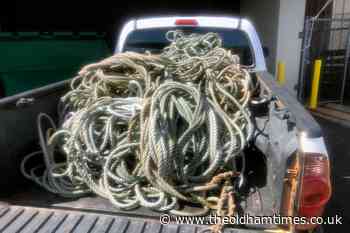 Search on for humpback whale entangled in debris off Hawaii - theoldhamtimes.co.uk