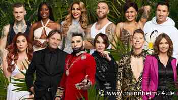 Dschungelcamp: Ekel-Prüfung! Promis müssen Körperteile schlucken – „Kann ich noch eins essen“ - mannheim24.de