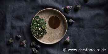 Zweiter Zwischengang: Fisser Gerste - DER STANDARD