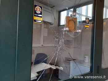 Unni al Seprio Park di Gallarate: rifiuti e imbrattamenti - VareseNoi.it