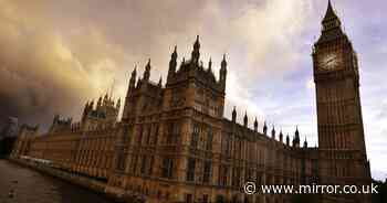Expenses watchdog withholding MPs claim data over 'security' fears