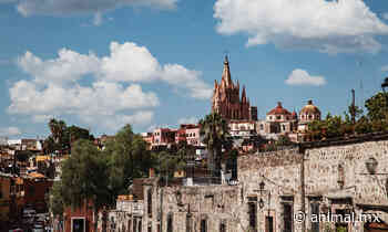 Qué hacer en San Miguel de Allende: como llegar, viñedos y más - Animal MX