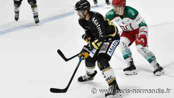 Hockey sur glace – Ligue Magnus : à Nice, les Dragons obligés de « bricoler » - Paris-Normandie
