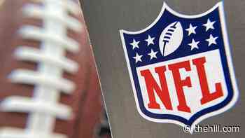 NFL halts daily coronavirus testing for players | TheHill - The Hill