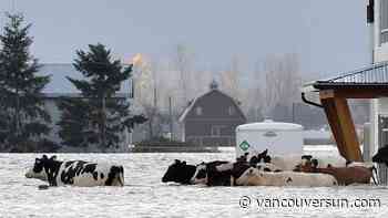 B.C. disasters, extreme weather underscore need for climate-resilient agriculture