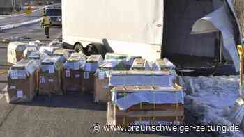 Laboraffen türmen nach Autounfall