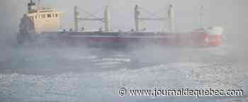 Québec: Collision sur le fleuve Saint-Laurent