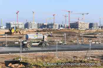 Was sich im Mannheimer Landschaftsschutzgebiet für die Buga 2023 alles verändert - Mannheim - Nachrichten und Informationen - Mannheimer Morgen