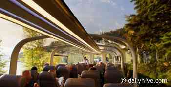 6 companies to work for in Calgary if you love to travel | Venture - Daily Hive