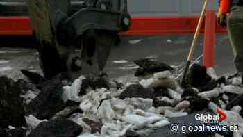 Calgary calls in contractors after ‘unprecedented’ number of water main breaks - Globalnews.ca