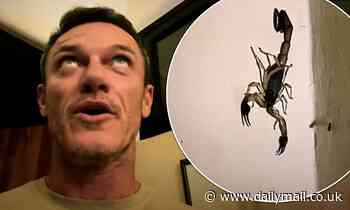 Luke Evans finds scorpion on the wall of his bathroom while filming Echo 3 in Colombia