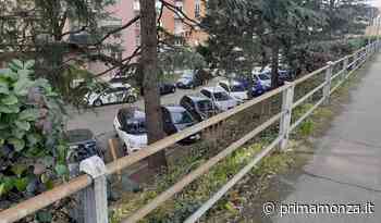 Siepe crollata in via Aquileia, residenti contro il Comune - Prima Monza